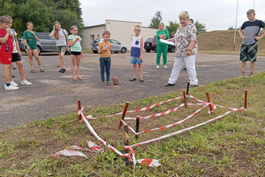  (photo)