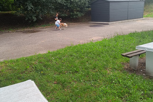  (photo)