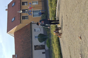  (photo)
