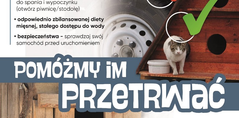 Zdjęcie ilustracyjne wpisu: "Pomóżmy im przetrwać"