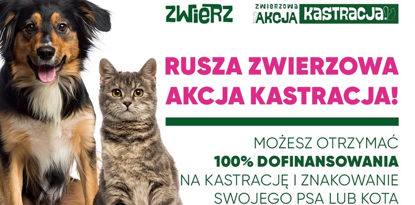 Zdjęcie ilustracyjne wpisu: Rusza ZWIERZowa AKCJA KASTRACJA!