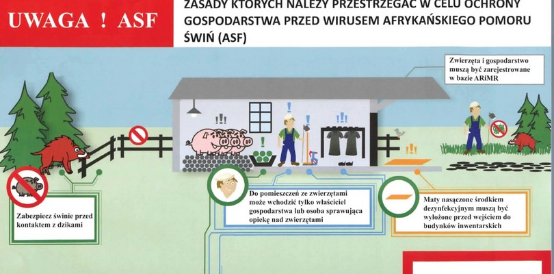 Zdjęcie ilustracyjne wpisu: Bioasekuracja ASF