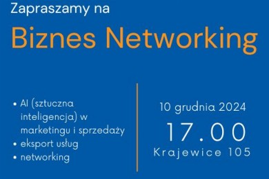 Zdjęcie ilustracyjne wpisu: Biznes Networking