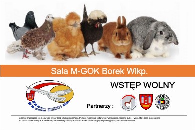 Zdjęcie ilustracyjne wpisu: Wystawa gołębi, drobiu ozdobnego, królików i ptaków egzotycznych.