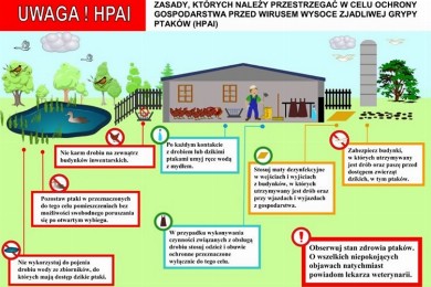 Zdjęcie ilustracyjne wpisu: Informacja Powiatowego Lekarza Weterynarii w Gostyniu dotycząca sytuacji epizootycznej