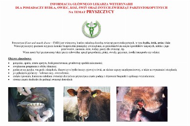 Zdjęcie ilustracyjne wpisu: INFORMACJA GŁÓWNEGO LEKARZA WETERYNARII