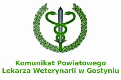 Zdjęcie ilustracyjne wpisu: Komunikat Powiatowego Lekarza Weterynarii w Gostyniu dotyczący sytuacji epizootycznej związanej z występowaniem ognisk ptasiej grypy (HPAI) w Wielkopolsce.