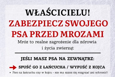 Zdjęcie ilustracyjne wpisu: WŁAŚCICIELU! ZABEZPIECZ SWOJEGO PSA PRZED MROZAMI