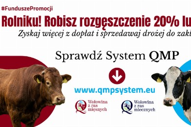 Zdjęcie ilustracyjne wpisu: Ekoschemat „Dobrostan zwierząt”