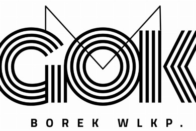 Zdjęcie ilustracyjne wpisu: Jesteś mieszkanką Borku Wielkopolskiego lub gminy? 